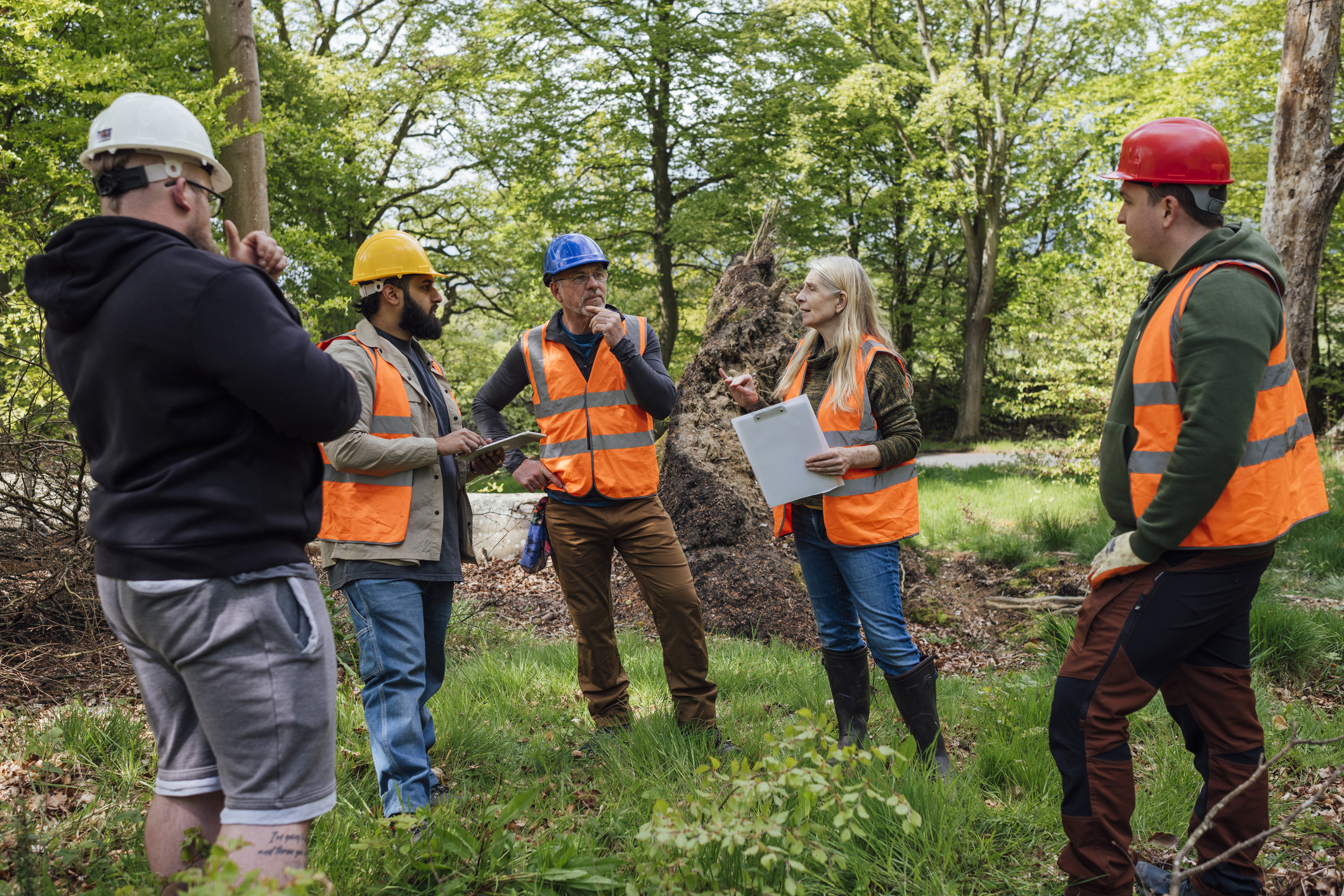 Tree Surgeons in Discussion